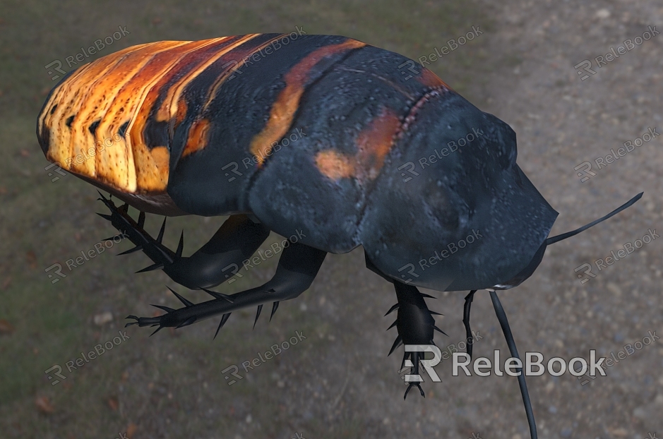 Madagascar vocal cockroach insect animal creature model