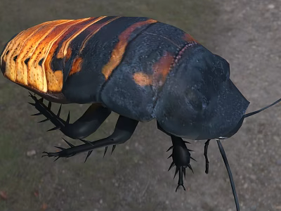 Black And Orange Reptile With Scaled Body And Long Legs In Natural Habitat 3d model
