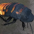 Black And Orange Reptile With Scaled Body And Long Legs In Natural Habitat