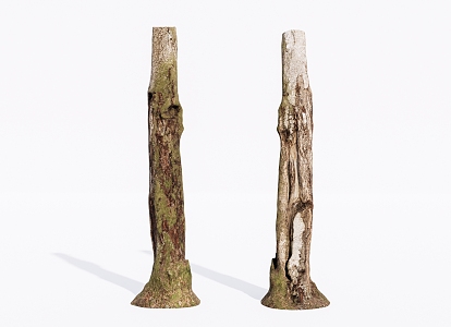 Modern Dead Wood Dead Tree 3d model