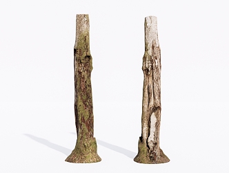 Modern Dead Wood Dead Tree 3d model