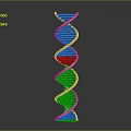 Medical Device Featuring DNA Double Helix Structure For Molecular Genetic Analysis