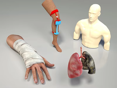 Anatomical Models of Human Limbs and Organs Including Bandaged Hand Leg Brace and Lungs 3d model