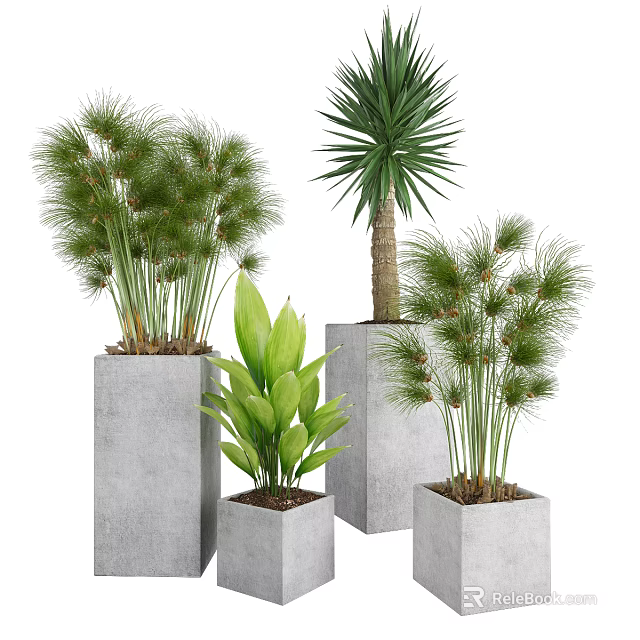 Bonsai Potted Plants In Modern Concrete Pots With Various Green Leaves 3d model 
