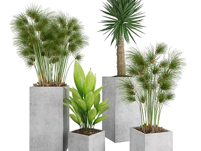 Bonsai Potted Plants In Modern Concrete Pots With Various Green Leaves 3d model