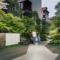 Night Garden Landscape With Paved Pathway Green Plants Red Maple Tree Trimmed Hedges And Lighting