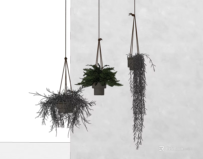 Stylish Hanging Basket Plants With Lush Green Foliage Against White Wall Background 3d model 