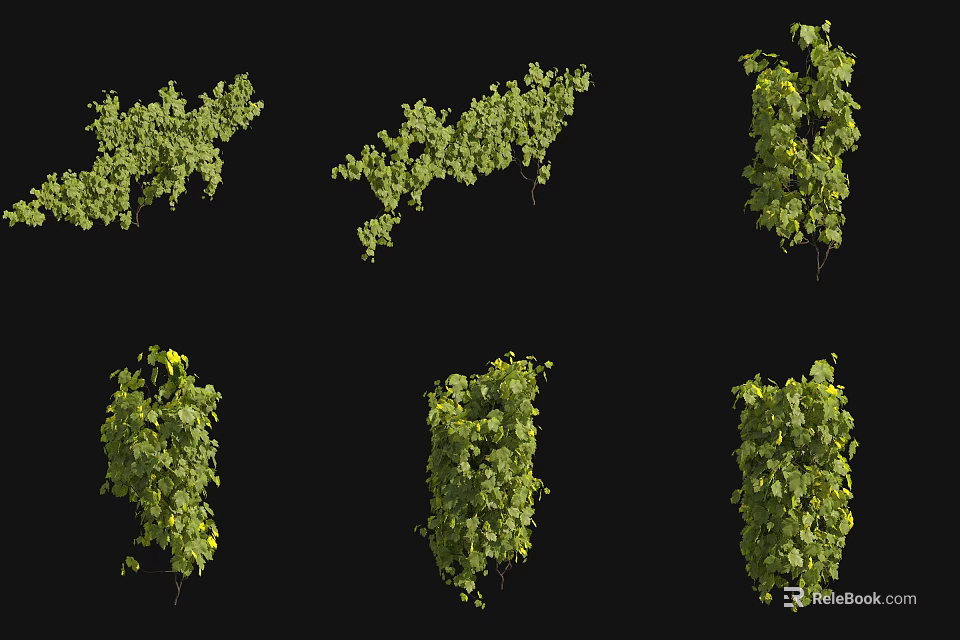 Multiple Green Lush Vines In Various Shapes For Decorative Design 3d model
