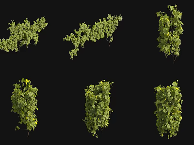 Multiple Green Lush Vines In Various Shapes For Decorative Design 3d model