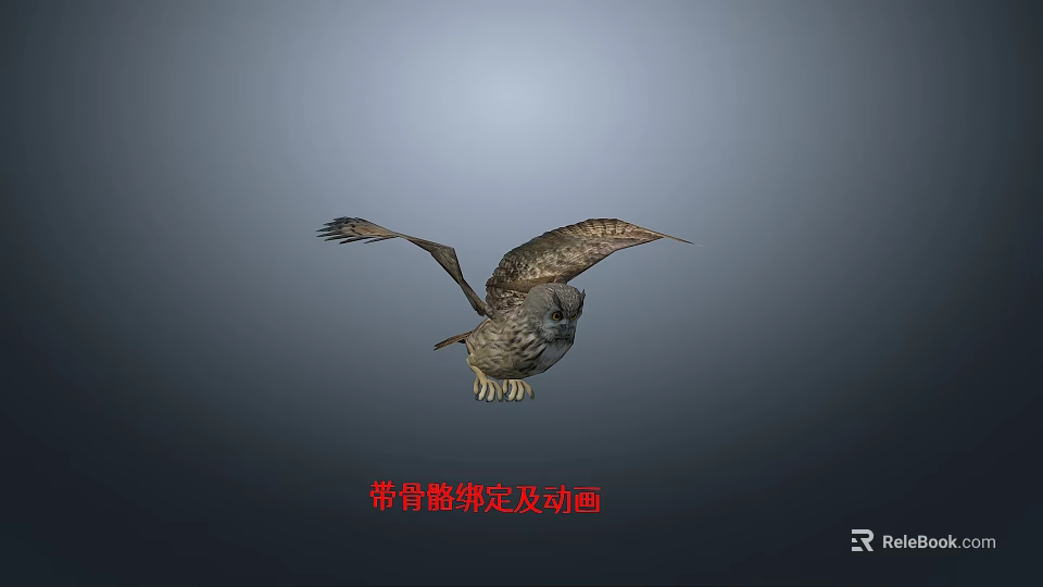 Animated Flying Owl 3D Model With Rigged Skeleton And Flight Animation Features 3d model 
