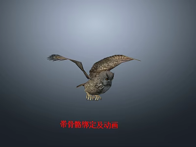 Animated Flying Owl 3D Model With Rigged Skeleton And Flight Animation Features 3d model