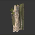 Modern Rock Formation Design With Moss Covered Platforms And Green Plants