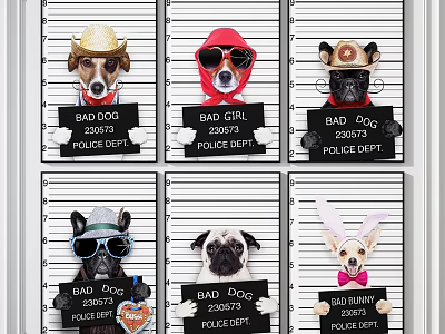 Animal Paintings of Dogs Rabbit Wearing Hats Sunglasses Holding BAD Signs Police Lineup Style 3d model