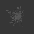 Herbaceous Plant With Green Leaves And Light Colored Spikes On Black Background