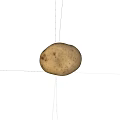Potato Vegetables 3d model