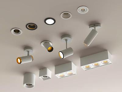 Different Types of Ceiling Lighting Fixtures Including Recessed Spotlights Track Lights and Downlights 3d model