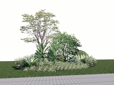 plant group arbor shrub group 3d model