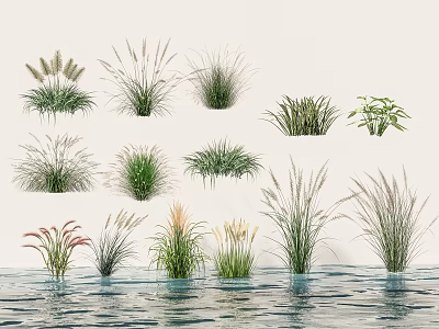 Different Kinds of Green Shrubs Thriving by Clear Water Surface with Lush Foliage 3d model