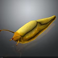 Bright Yellow Slug With Orange Antennae And Sleek Body On Dark Reflective Surface