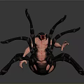 3D Rendered Spider Model With Detailed Black Legs And Red Segmented Body On Gray Background