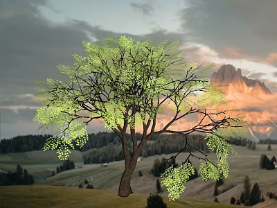 Scenic Garden Landscape Featuring Large Tree With Green Leaves Sunset Sky And Distant Mountains 3d model