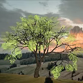 Scenic Garden Landscape Featuring Large Tree With Green Leaves Sunset Sky And Distant Mountains