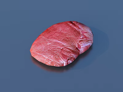 Fresh Red Raw Meat With Visible Surface Texture On Blue Background 3d model