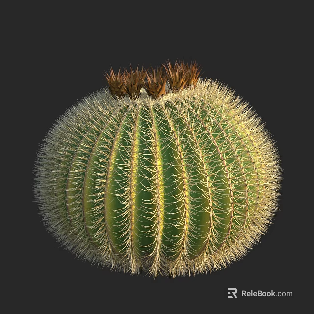 Round Green Spiky Cactus Bonsai Potted Plant With Brown Top Succulent Decor 3d model 