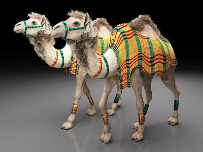 Two Camels With Colorful Striped Blankets Decorative Bridles And Leg Wraps 3d model