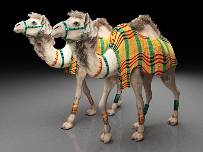 camel animal dromedary 3d model