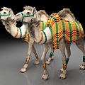 camel animal dromedary 3d model