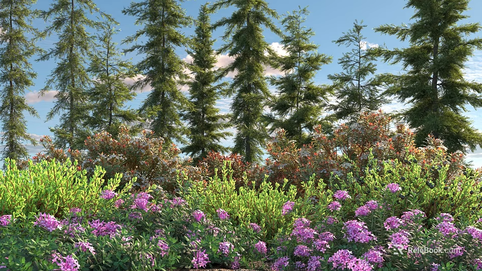 Beautiful Garden with Purple Flowers Green Shrubs and Tall Pine Trees Under Blue Sky 3d model 