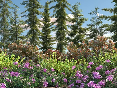 Beautiful Garden with Purple Flowers Green Shrubs and Tall Pine Trees Under Blue Sky 3d model