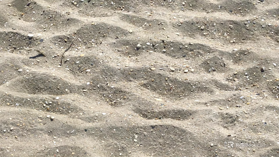 Natural Microtopography Features On Sandy Ground With Small Stones And Irregular Depressions 3d model 
