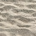 Natural Microtopography Features On Sandy Ground With Small Stones And Irregular Depressions
