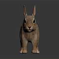 Brown Rabbit Plush Figurine Standing With Big Ears And Black Eyes