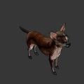 Game and Movie Character Chihuahua in Brown and White Standing Pose on Green Background