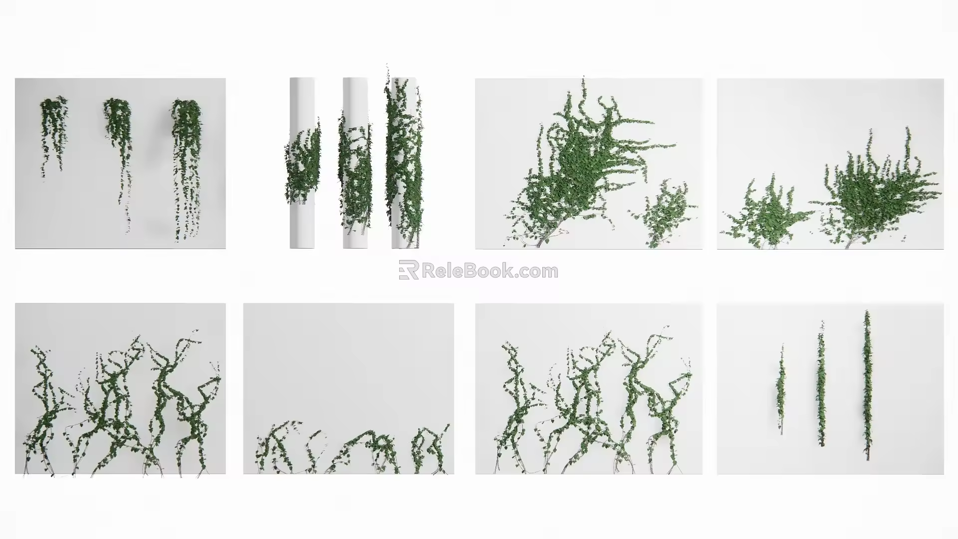 Vine combination Vine 3d model