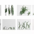 Vine combination Vine 3d model