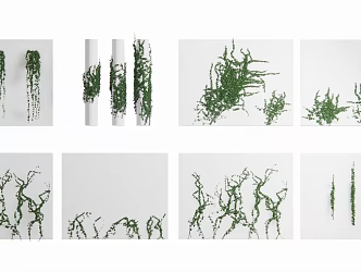 Vine combination Vine 3d model