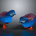 Two Vibrant Blue And Red Birds With Orange Feet On Dark 3D Background Reflections