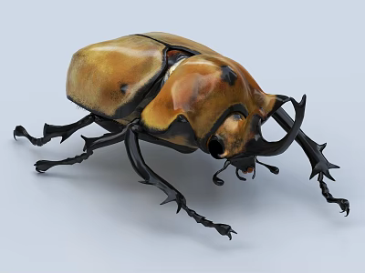 Flying Animal Yellow and Black Beetle with Large Horns and Black Legs on Gray Background 3d model