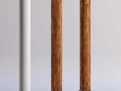 White And Wooden Columns Interior Design With Natural Wood Grain Details 3d model