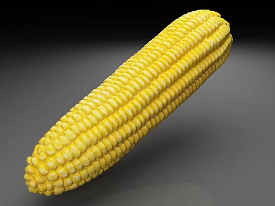 Fresh Yellow Corn Cob With Plump Juicy Kernels In Close Up View 3d model
