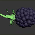 Purple Blackberry with Green Leaves and Clustered Berries on Dark Background