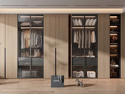 Modern Wardrobe Design With Glass Doors Wooden Panels Hanging Rods And Storage Drawers 3d model