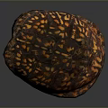 Detailed Reptile Turtle Shell Displaying Brown And Orange Patterned Textured Surface 3d model