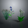 Decorative Bonsai Potted Plants With Green Grass Blue Flowers And White Blooms For Indoor Decoration