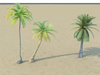 Three Palm Trees With Green Yellow Leaves On Sandy Ground 3d model