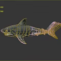 Realistic Shark Model With Open Mouth Sharp Teeth Gray And White Body And Reflective Surface 3d model